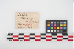 Etikett zu Bronzemehrkopfnadel (NHMW-PRAE-025562)